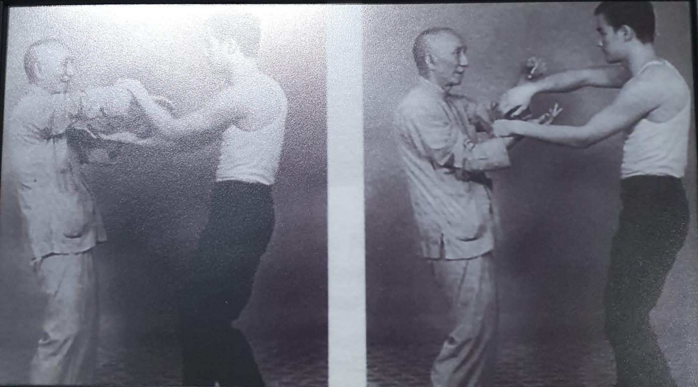 IP Man & Bruce Lee 2